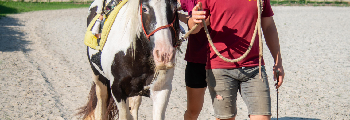 CK Hipoterapie u DMO